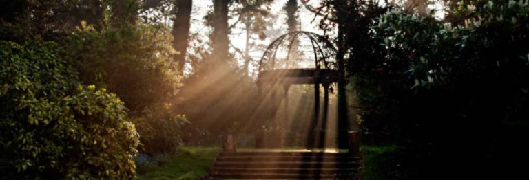 14f2f9f6 4f37 49f3 9419 32b0048075be 768x262