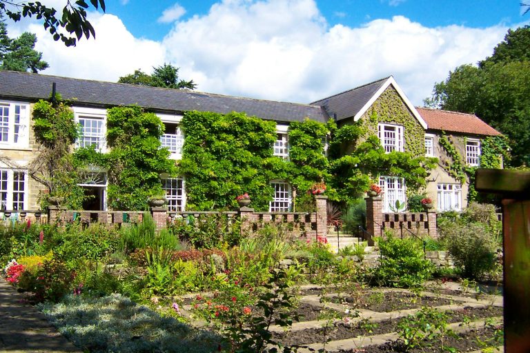 15425615 0322 4c0c a26a 2c6c6ffdc2c1 768x512