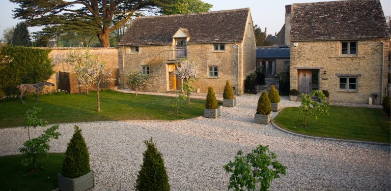 1562x765 12 thyme aboutus oizvnj 1 768x376