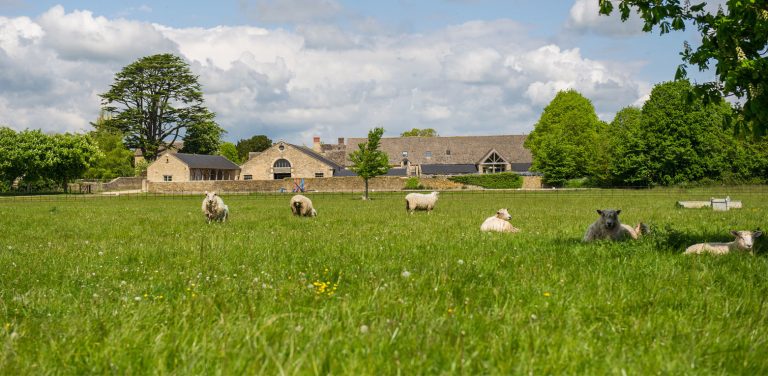 1562x765 TH10 twaaod 768x376