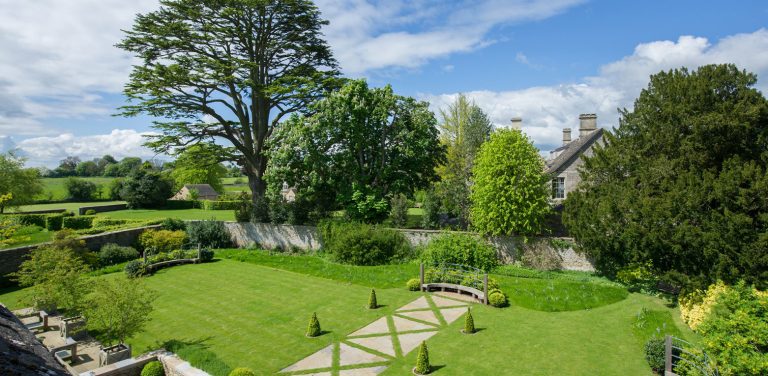 1562x765 TH1 sfir8q 768x376