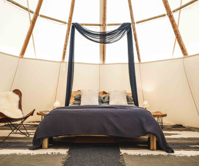 1581478f c7cc 471c b754 cc1762401ece 768x644