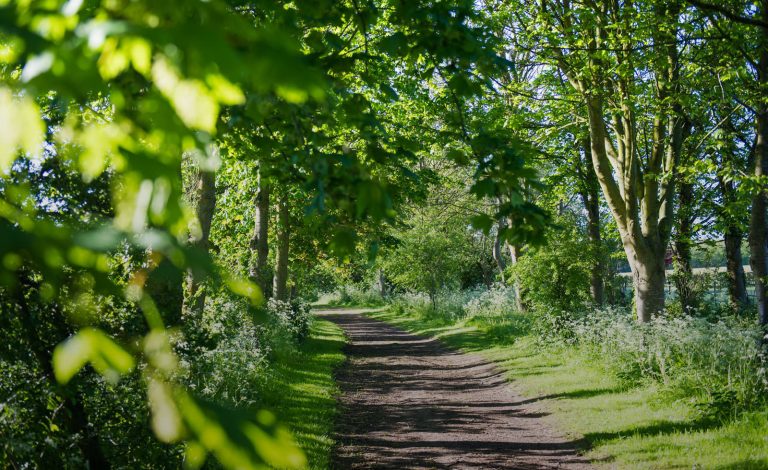 1600x980 Home Page Garden bowxpc 768x470