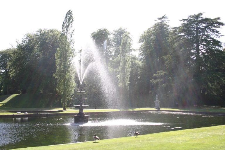 1623453 270446913113476 2027181308 n qokav1 768x512