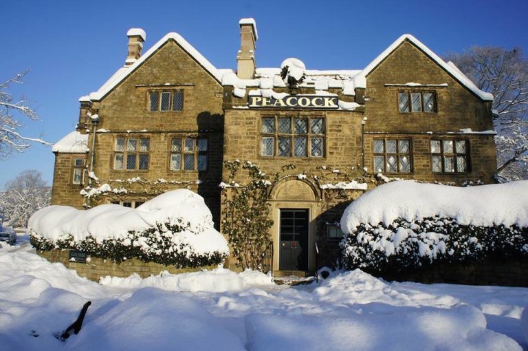 1781913 625005500882439 210817385 n ckvfn0 768x510