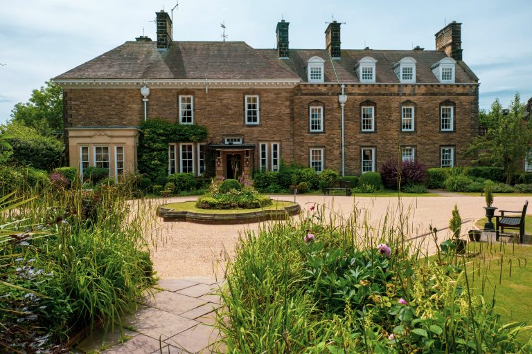 185776375 3418845088215400 5643210203762977048 n 1 768x512