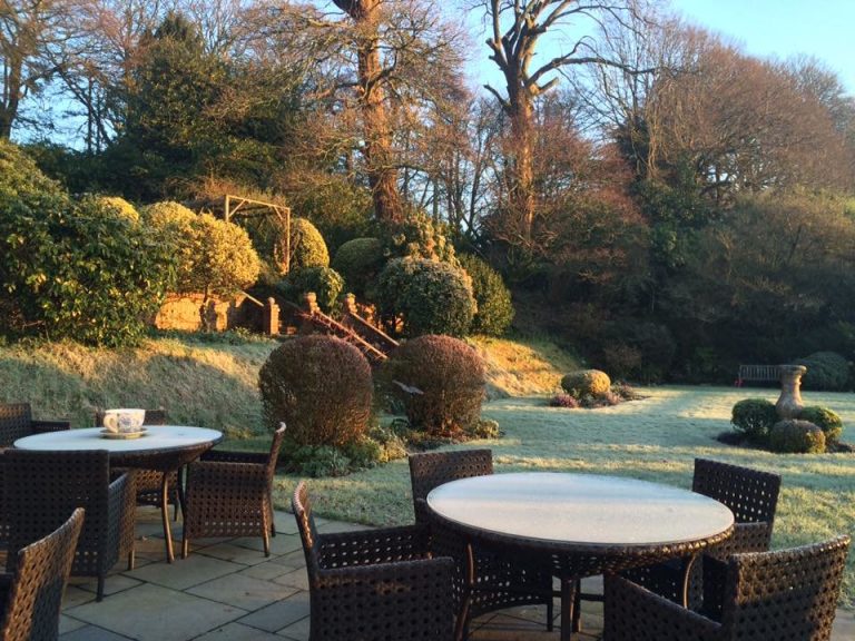 1929808 902271113202756 8255443651571958641 n kcxgei 768x576