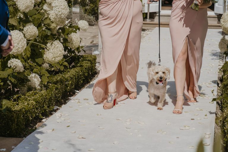 1BFDD627 E684 4148 91F9 CFEEC7160E9E 768x512