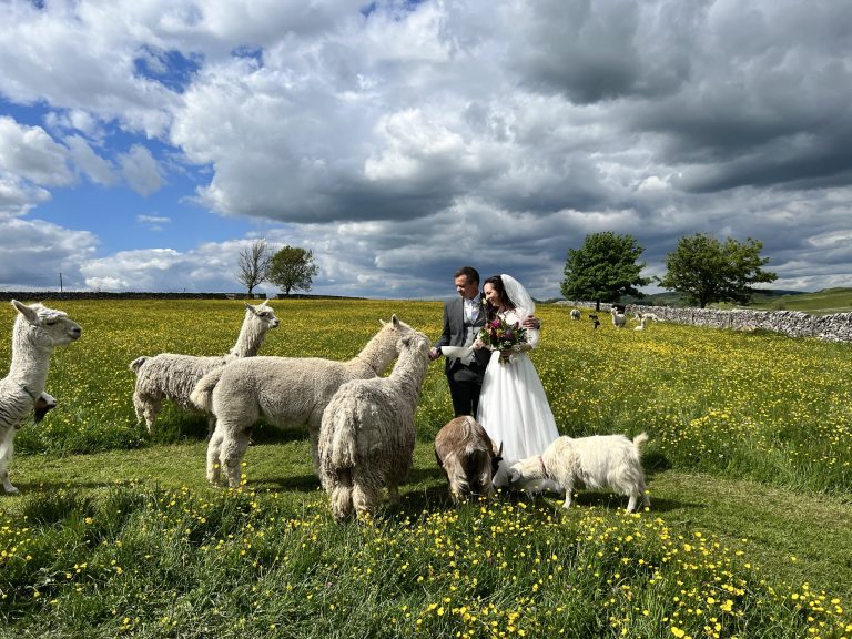 1F930DFD 6D5C 48B4 83A4 8DDB407D42DB 768x576