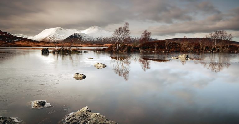 1a836e29 f99c 4933 b3e8 999f8319a63a header view 6 768x400