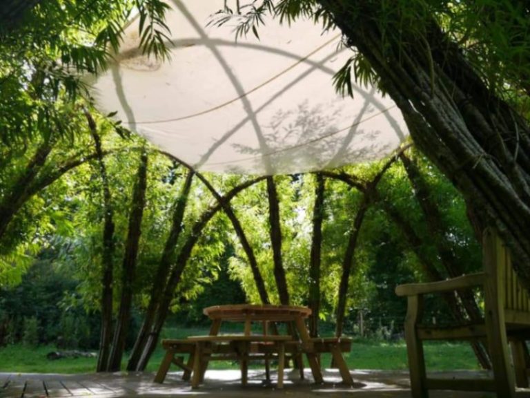 1b4a748e a5af 4688 80ea ff893230b23b 768x576