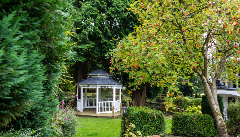 1b4ff0eb 52be 4dd9 b0c7 089652e7f7e3 768x440