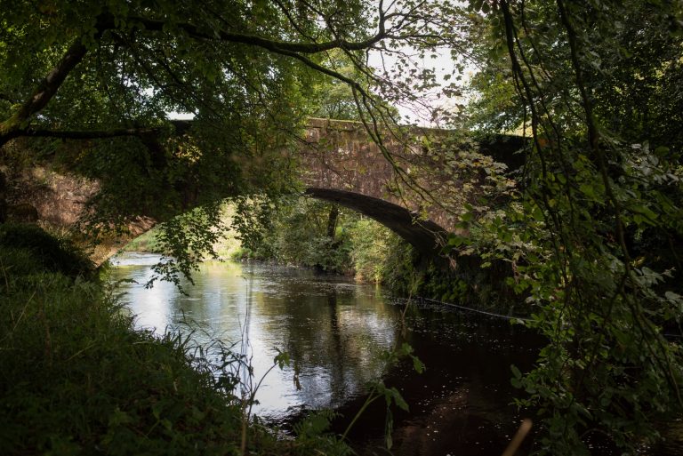 1cbeb232 99a0 42cd a5cd 94fc0a2a9a8f 768x513