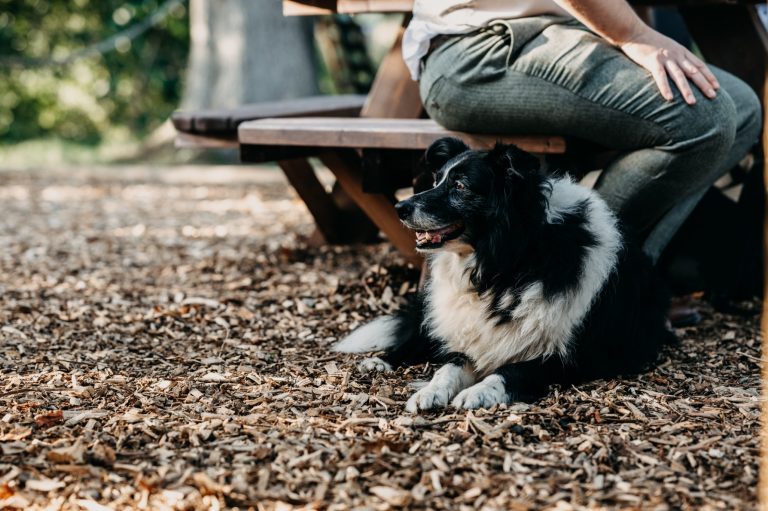 1d24329f fc47 40b1 a32a 269f83c82509 768x511