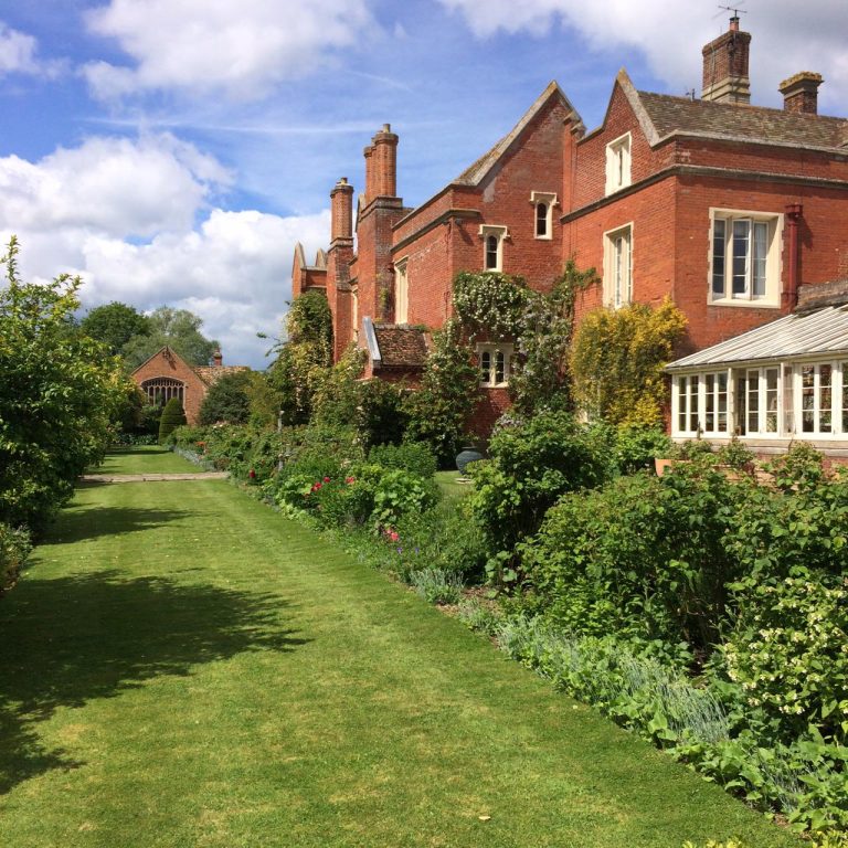 1d61f8ea c4e3 4b27 9938 f9dcedf1a304 4 768x768