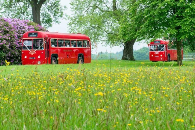 1da01651 ecc5 4fee 9d0b e044a86799f6 768x512