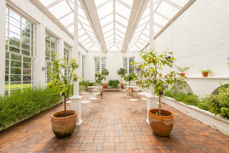 1e9f78e9 8709 48ff a449 cab164cc0b20 768x512