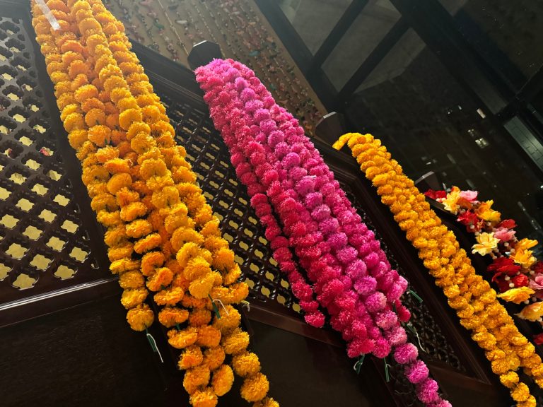 1fbfad0a 5ad9 43c1 adb0 d8749a00e746 768x576