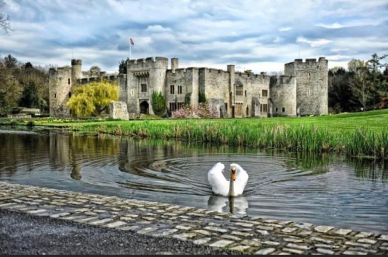 1ff37c3e 6413 49ec b8e3 25437b0c0fff 768x509