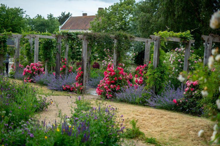 200604DCOOLFieldPlace 22 768x512