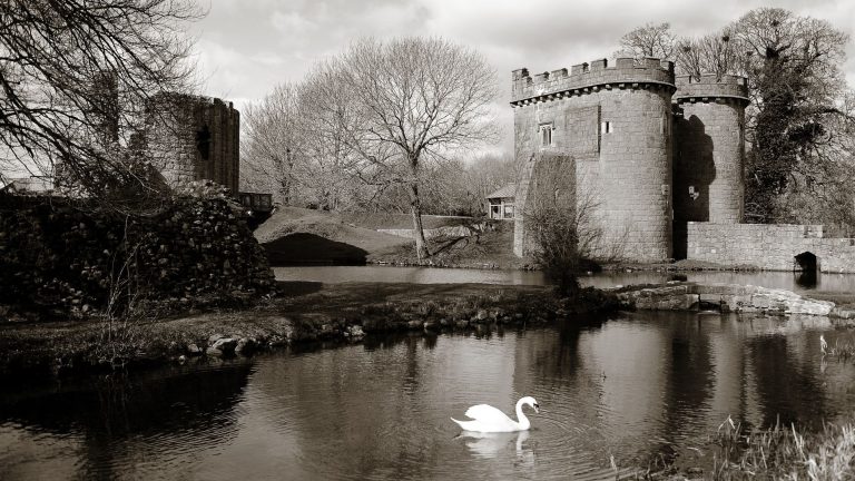 20100327 9548b 768x432