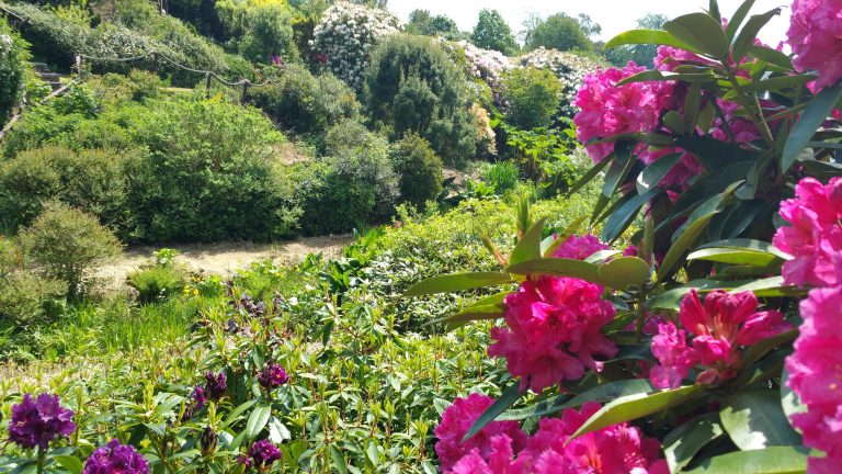 20160530 123629 mhlq4m 768x432