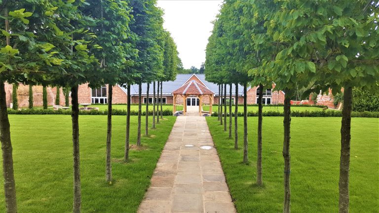 20190624 1744252 768x432