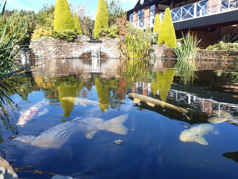 20201005 105142 768x576