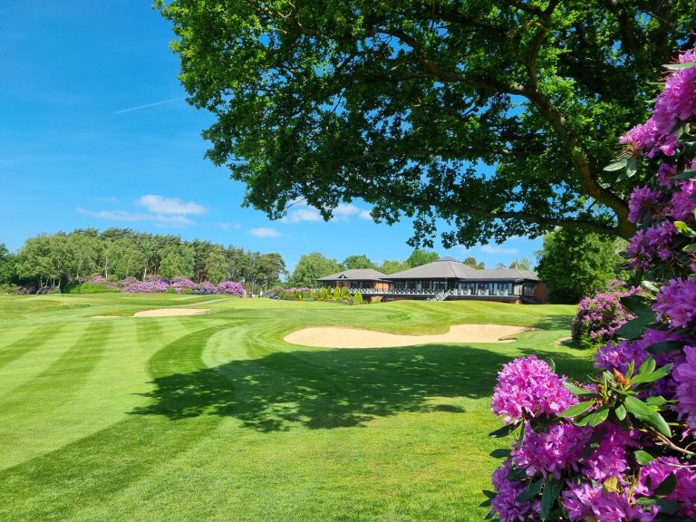 20220527 112428 768x576