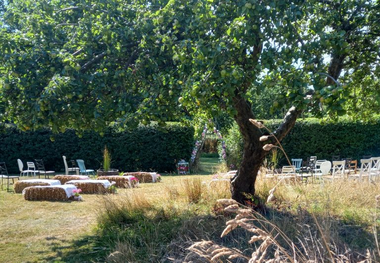 20220813 1415262 768x532