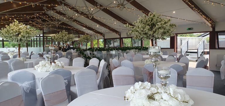 20240720 174359 768x363