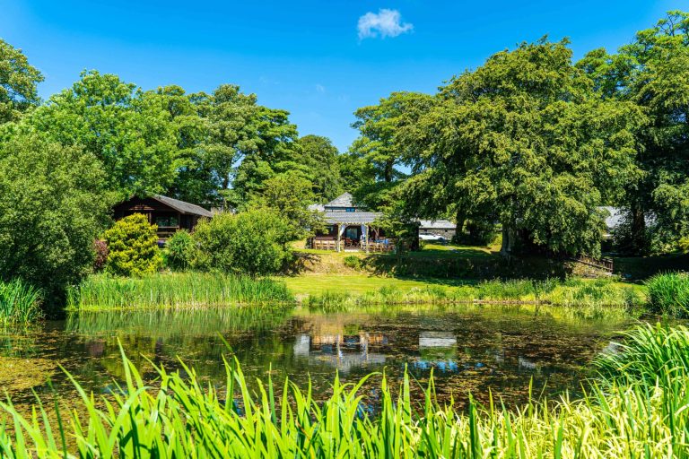 2107f44f 3be9 4dd0 b099 0cd4c3db2c29 768x512