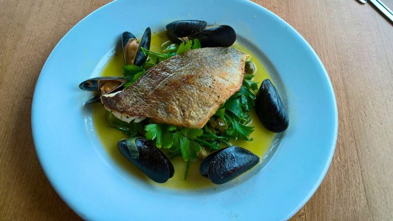 21587039 1780733731941474 3378207715766411389 o 29102021100004 768x433