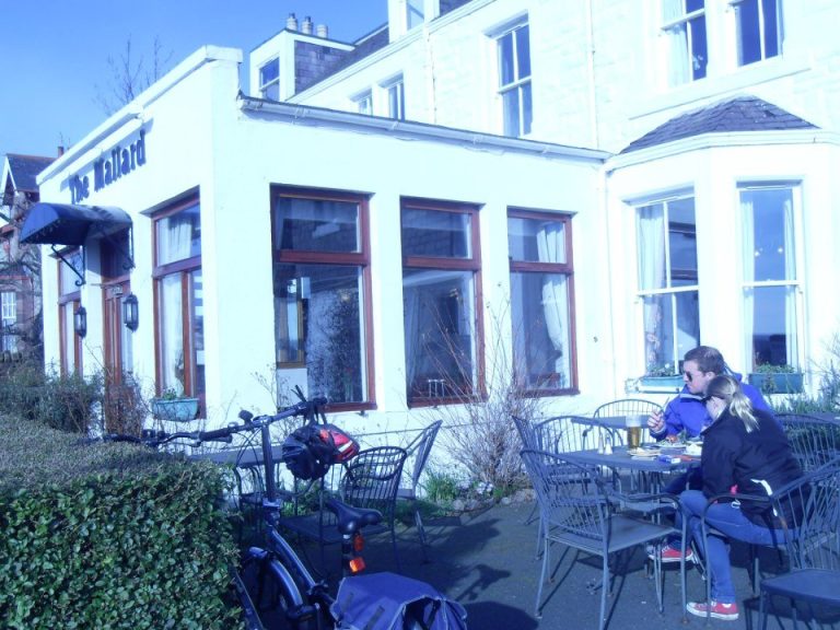 21711 419870238095241 1673361360 n elrkms 768x576