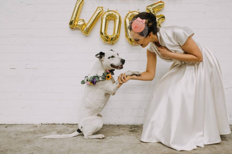 21729045 1561616123898945 2415012856130964075 o 768x512