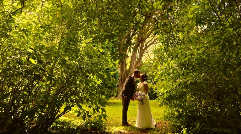 222A02DD C0C1 4D71 8C2B 48B05F247B7C 768x426