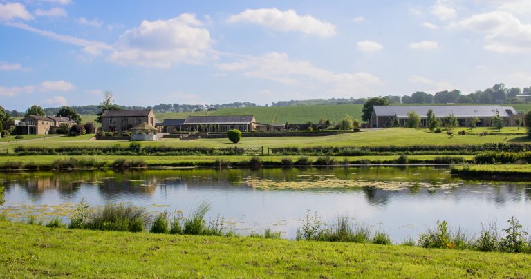 222be3f8 5235 4f72 979d bad06d9e2d6d 2 768x404