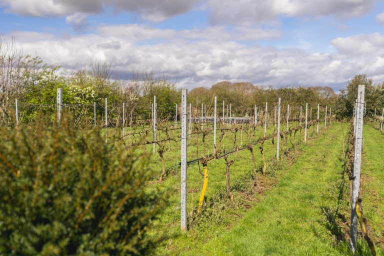 22cc6947 1b4e 48c5 9ca3 65be9e4ee280 768x512