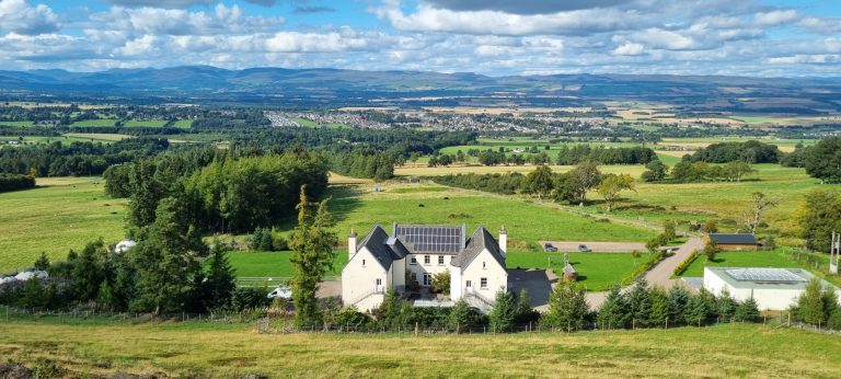 22f3c12d 5a95 4254 99e1 26365a5332ff 1 768x346