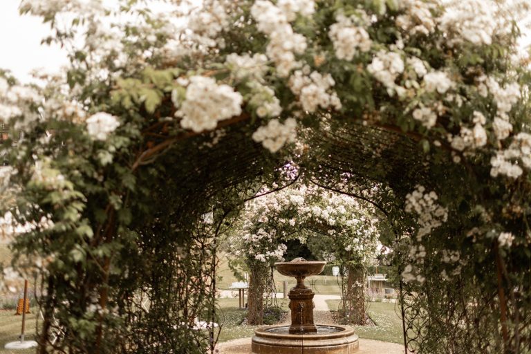 2304c793 07ca 4258 a5c2 4acfab3128b3 768x512