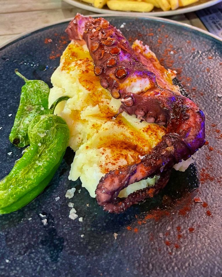 241707018 4590817377615127 6465509090924429615 n 15122021060623 768x960