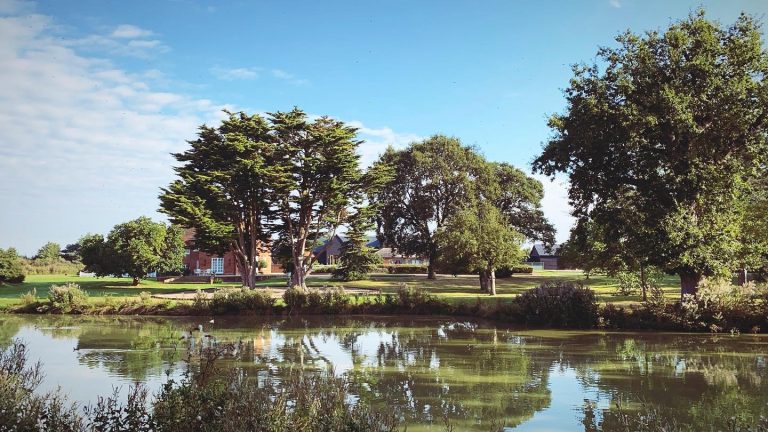 242131617 559131002177909 8954647529805942171 n 768x432