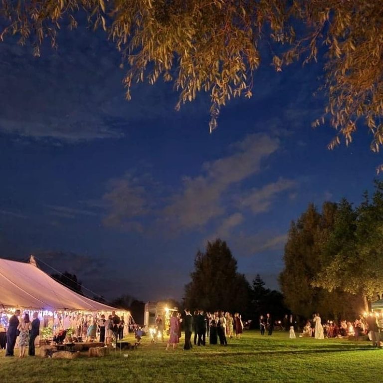 242241153 4375668229185766 4369296057181662241 n 768x768