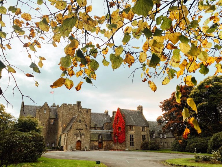 245372019 4317980514989181 7598485894054765197 n 768x576