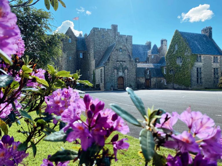 250896159 4370450079742224 6094597233559610931 n 768x576