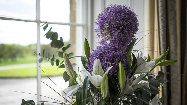 257a11c6 be8c 4349 b023 4f05a21f6329 AJH022 768x433