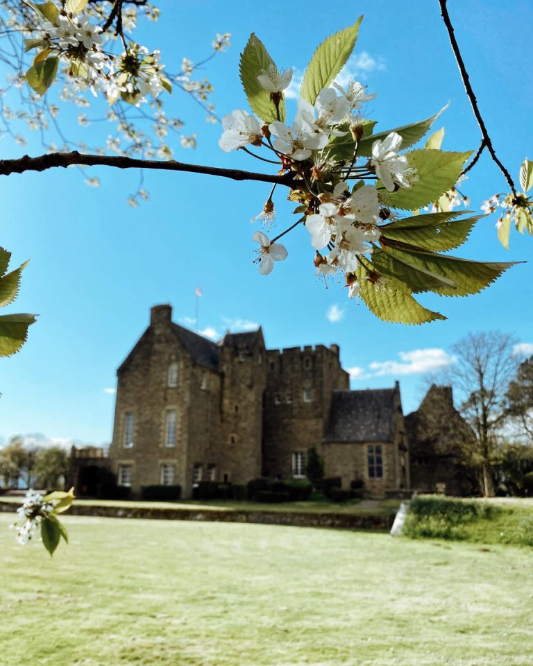 259372619 4433084286812136 3309893325082506177 n 768x960