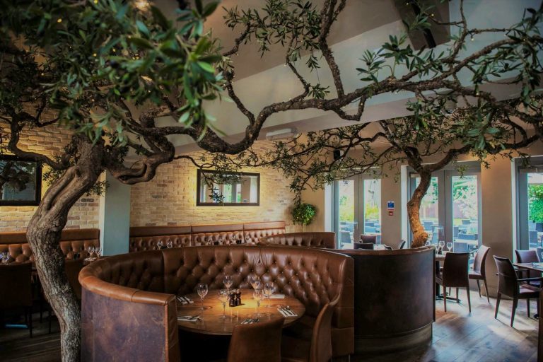 26171953 10156034788396202 433092546798235887 o 768x512