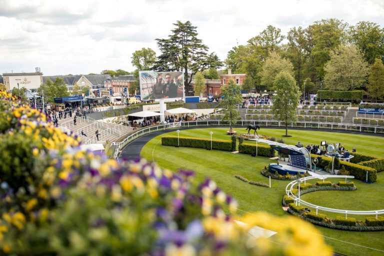 262319098 05 02 2021 12 20 55.thirdlight 547658687031 768x512