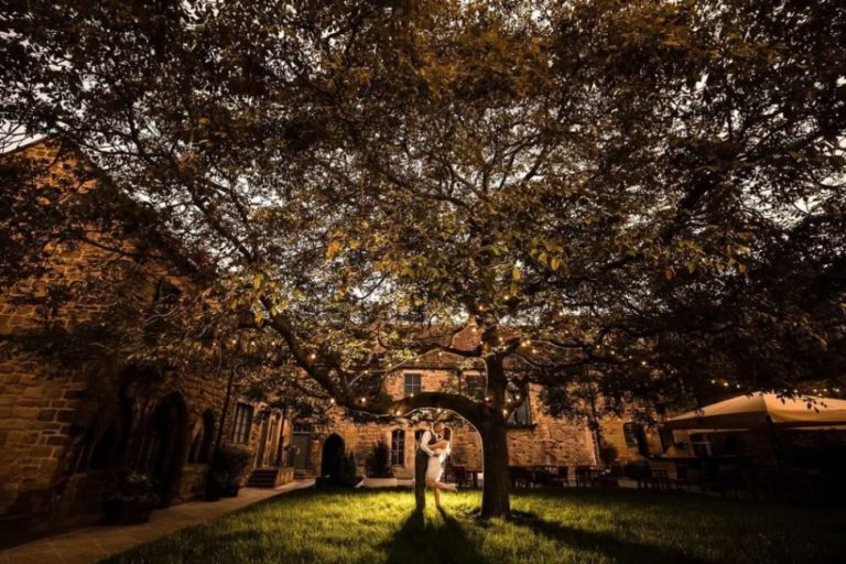 266edffb fdb3 4625 a9b7 dd52887c9693 768x512